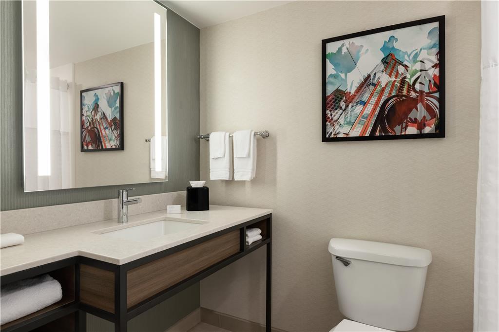 Фото Hilton Garden Inn Atlanta Downtown