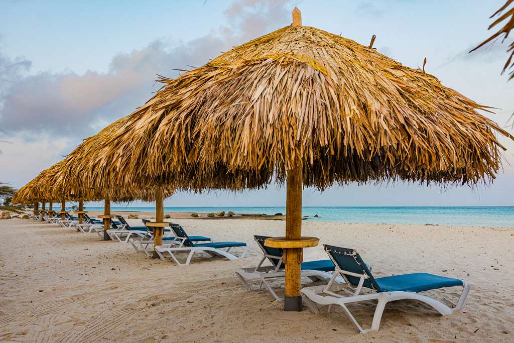 Фото Embassy Suites by Hilton Aruba Resort