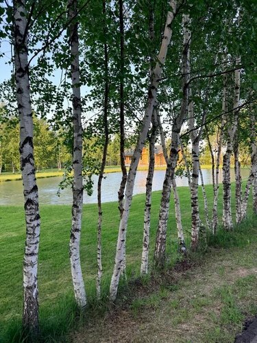 Загородный клуб Туманово — фото 2