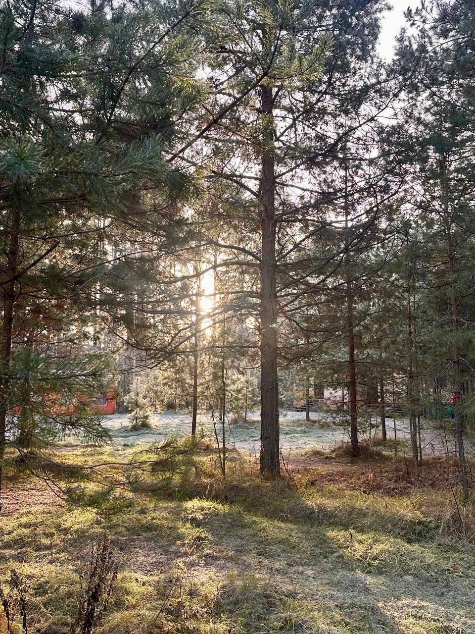 Фото Экопарк Дар