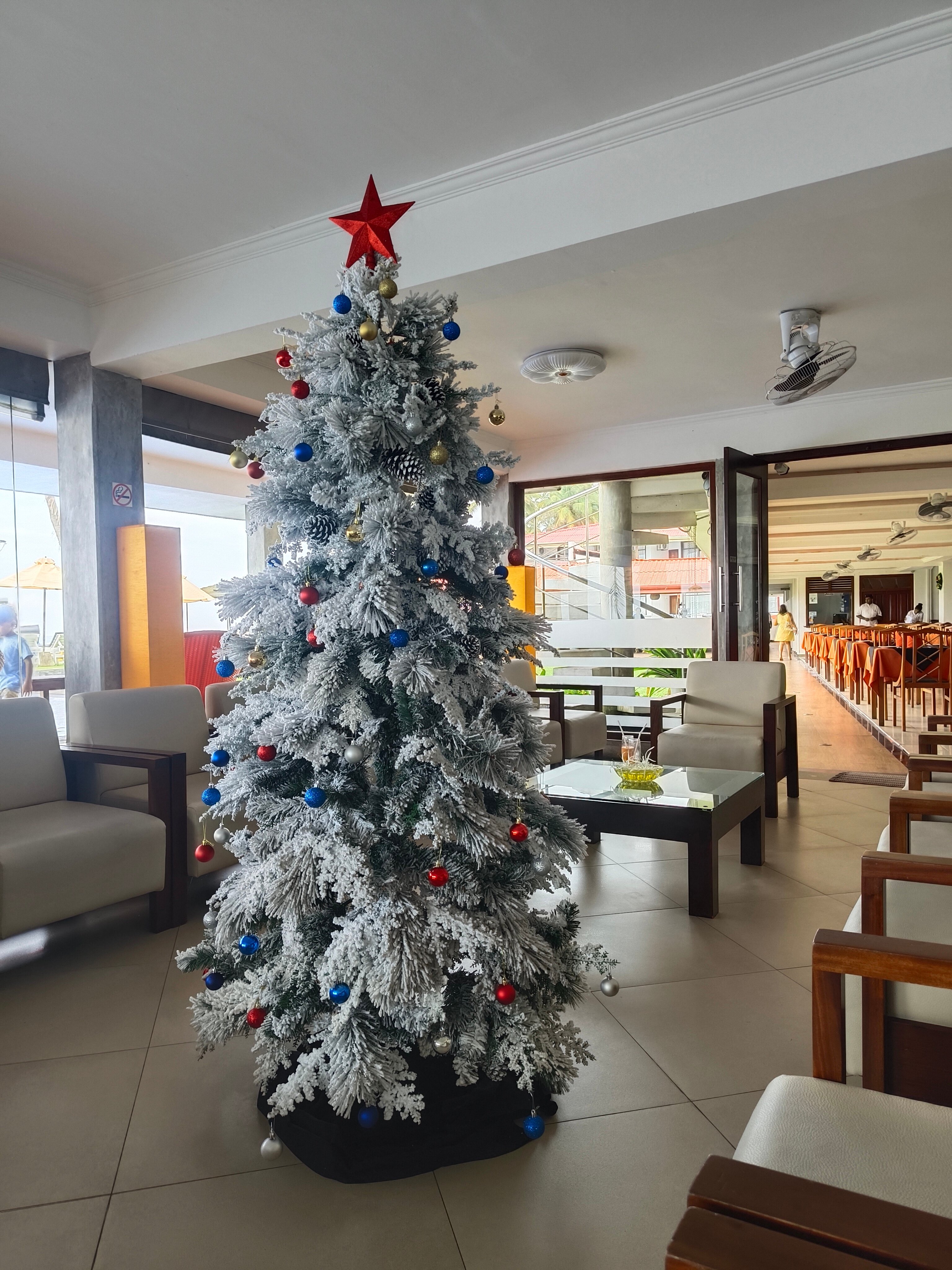 Фото Coral Sands Hotel