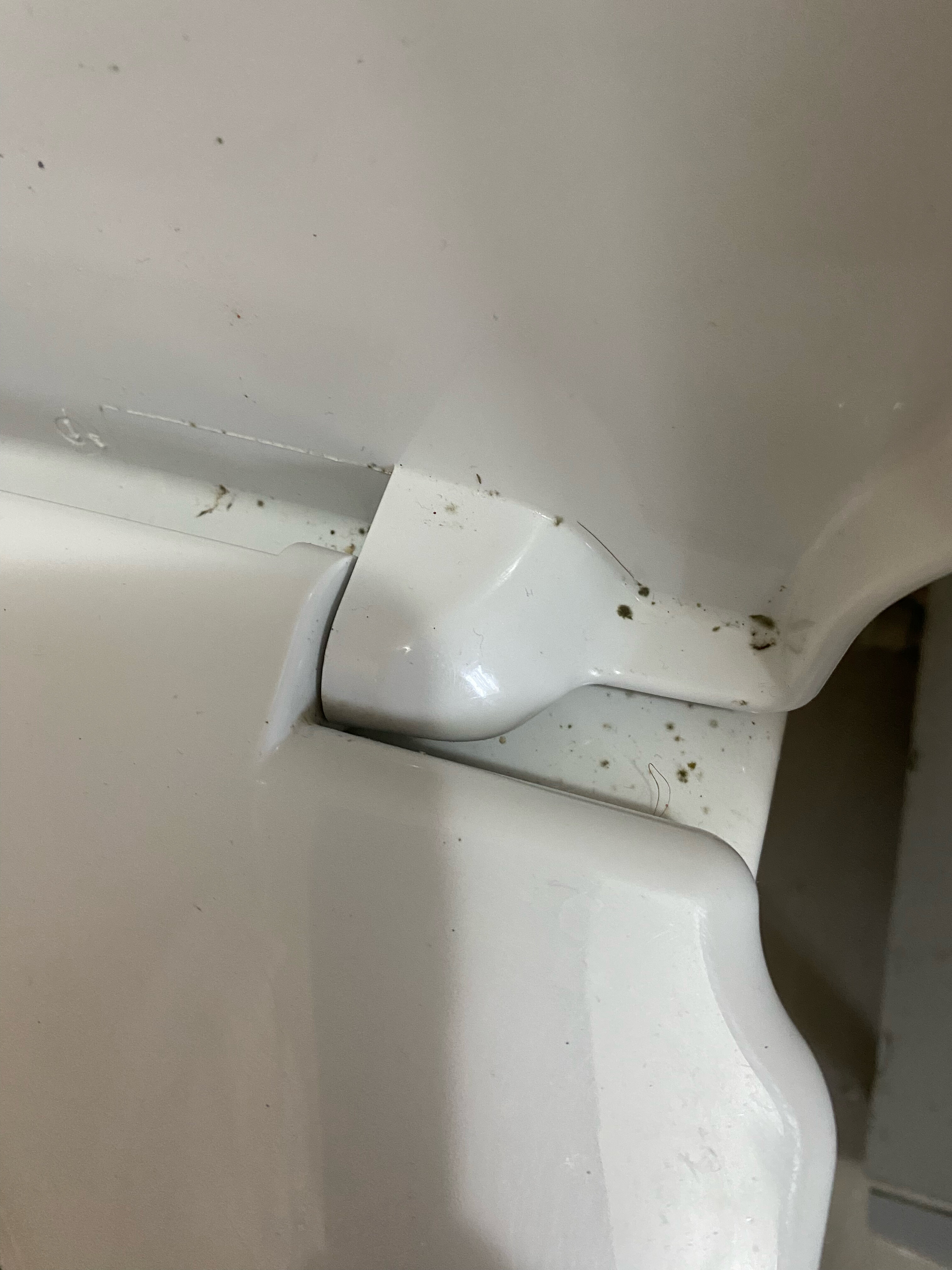 Фото У Комаровых