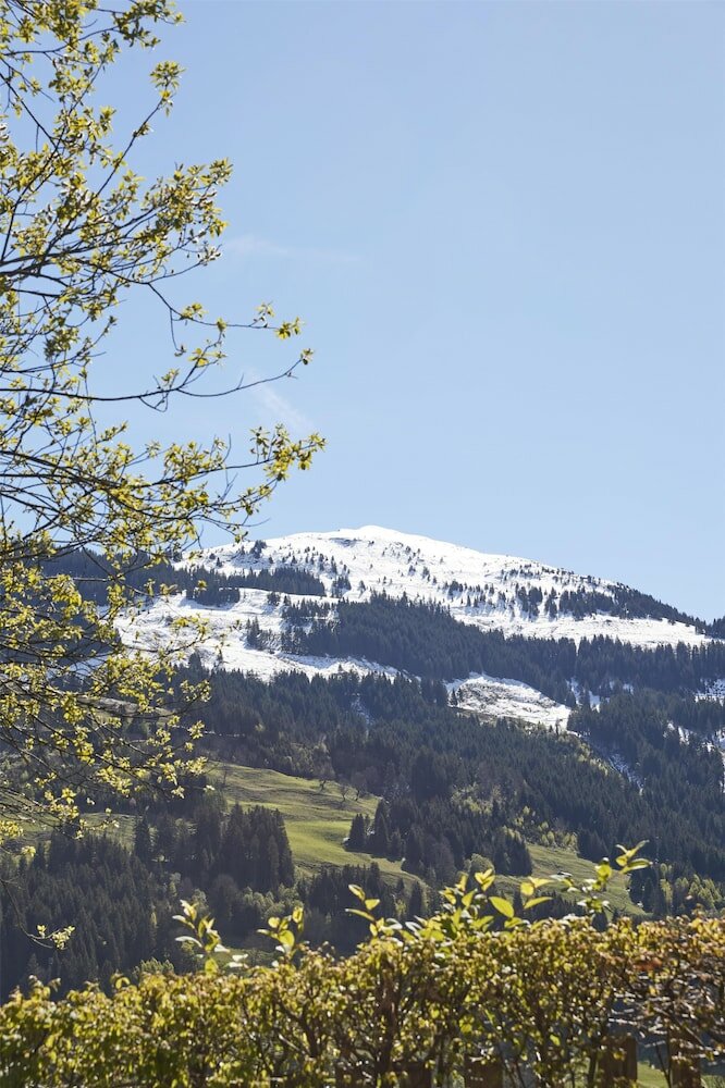 Фото Kempinski Hotel Das Tirol