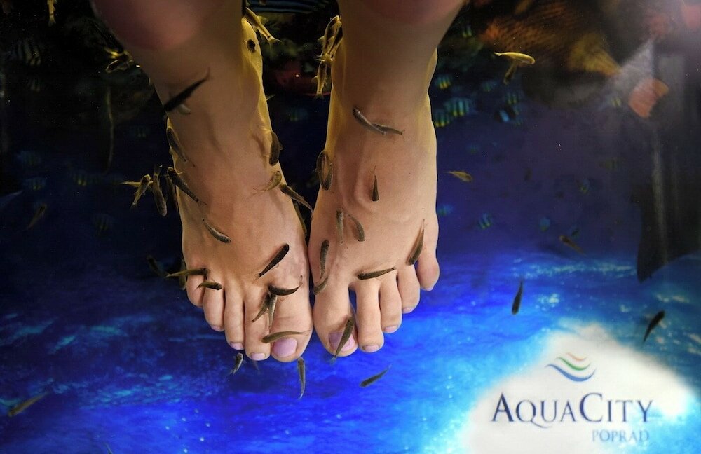 Фото Hotel AquaCity Seasons