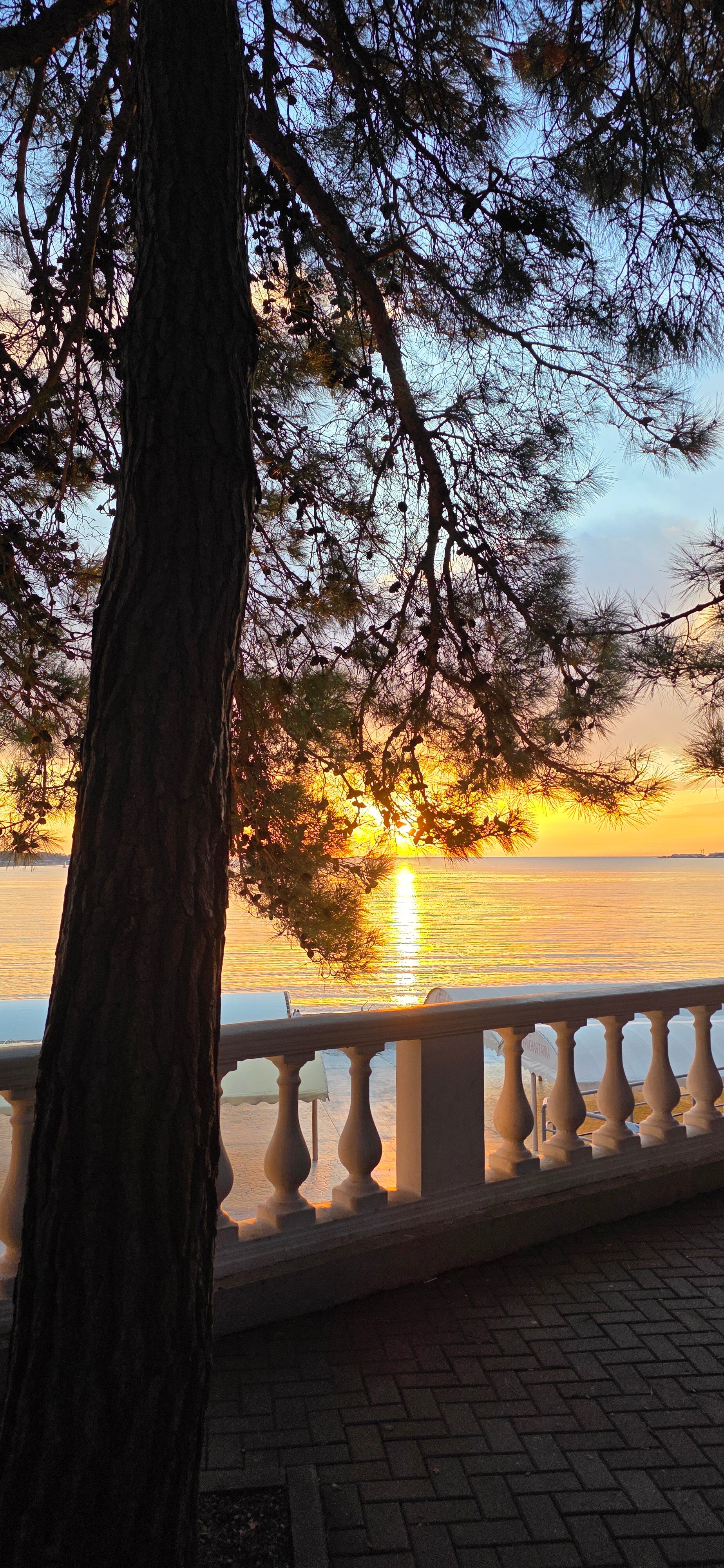 Фото У моря