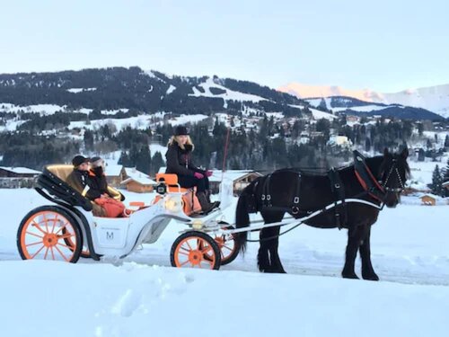 Внешний вид отеля M de Megeve в Межеве, фото 5