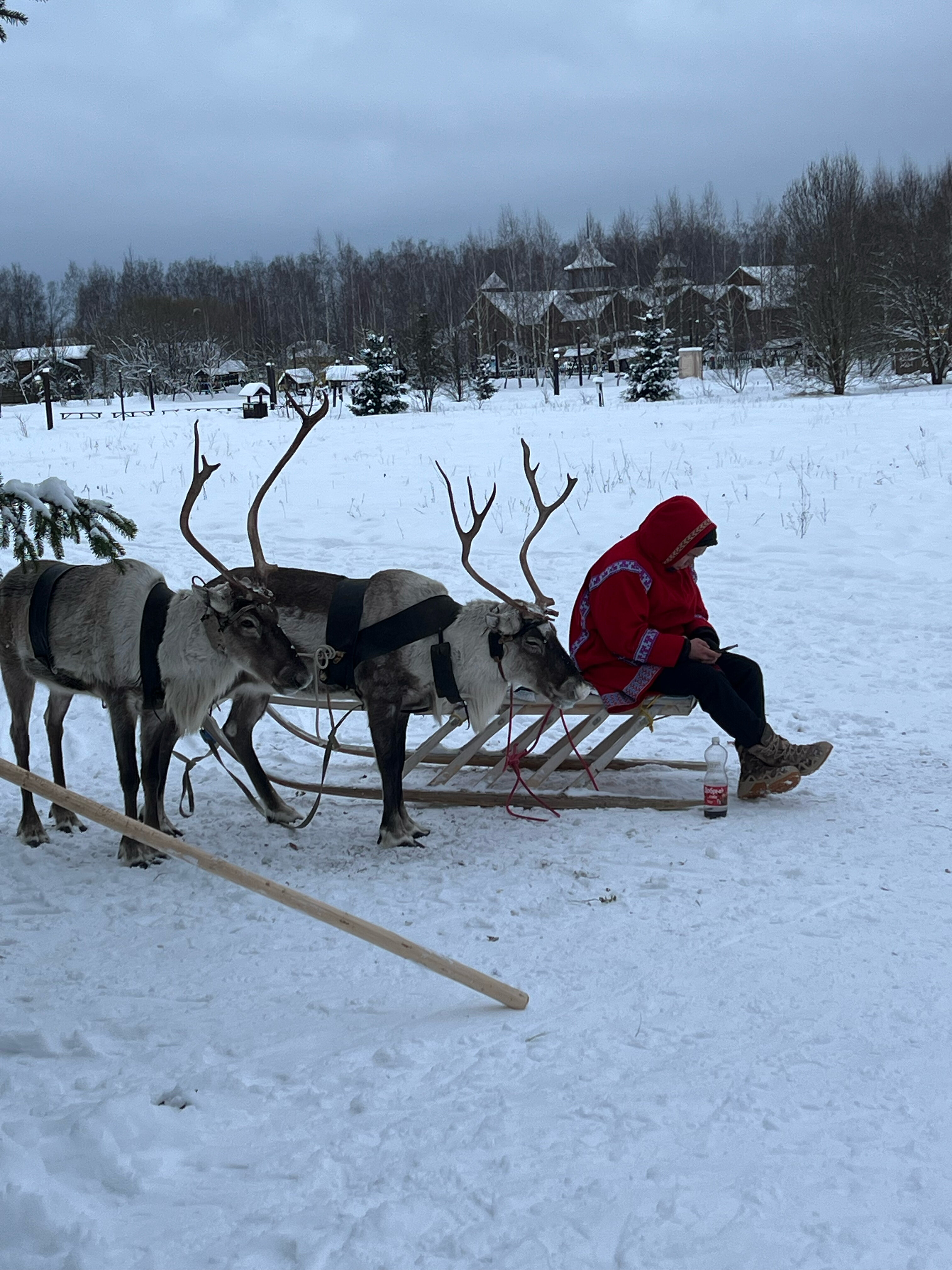 Фото Panorama Home