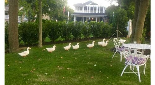 Гостиница Walden Inn and Suites в Белмаре