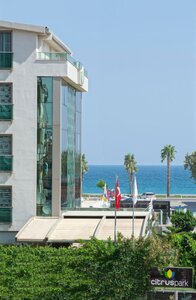Гостиница Citrus Park Hotel