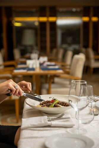 Гостиница Anemon Adana Hotel в Чукурове