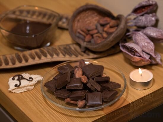 Фото Wellness & SPA hotel Villa Regenhart