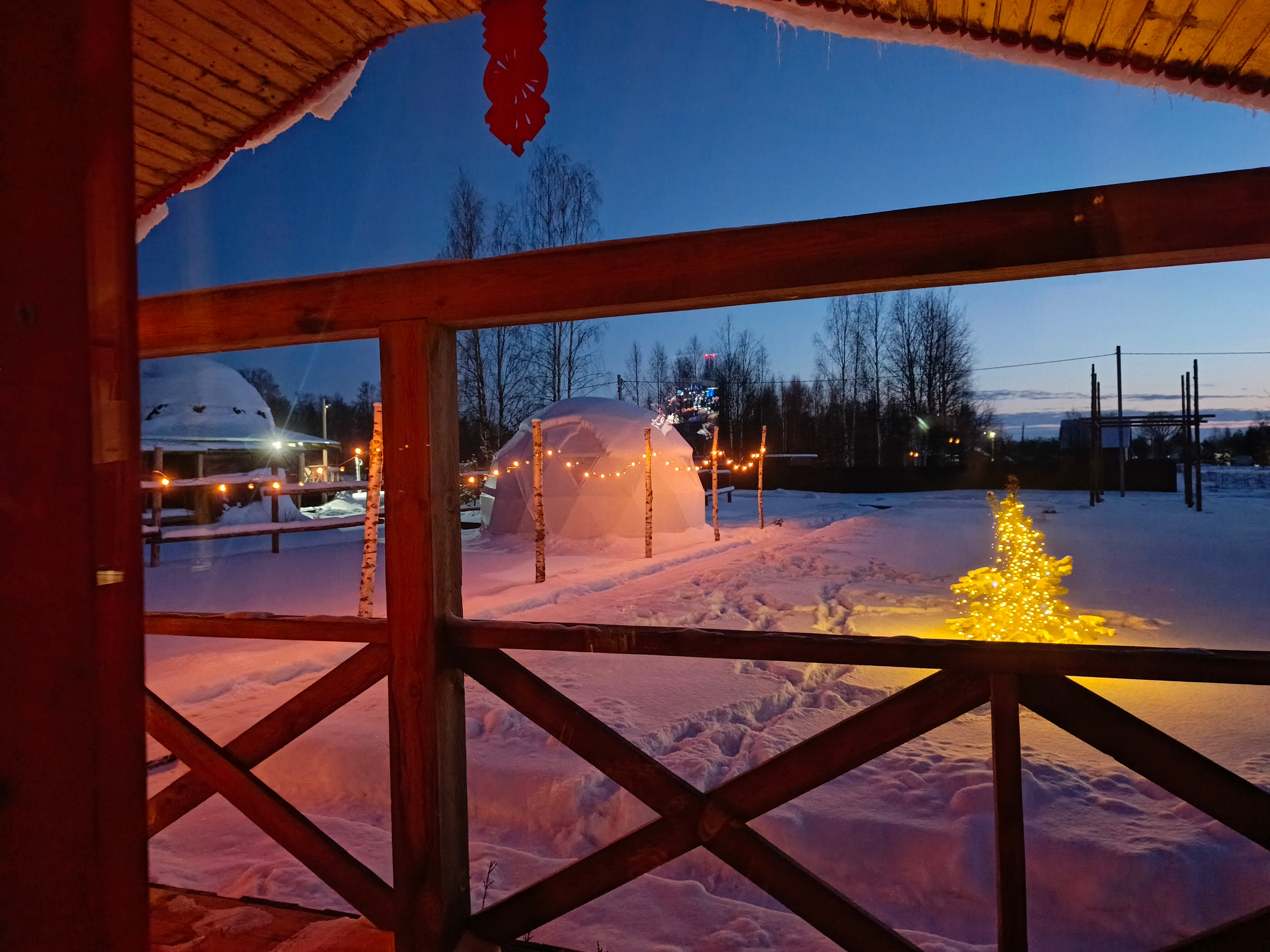 Фото Хозяин леса