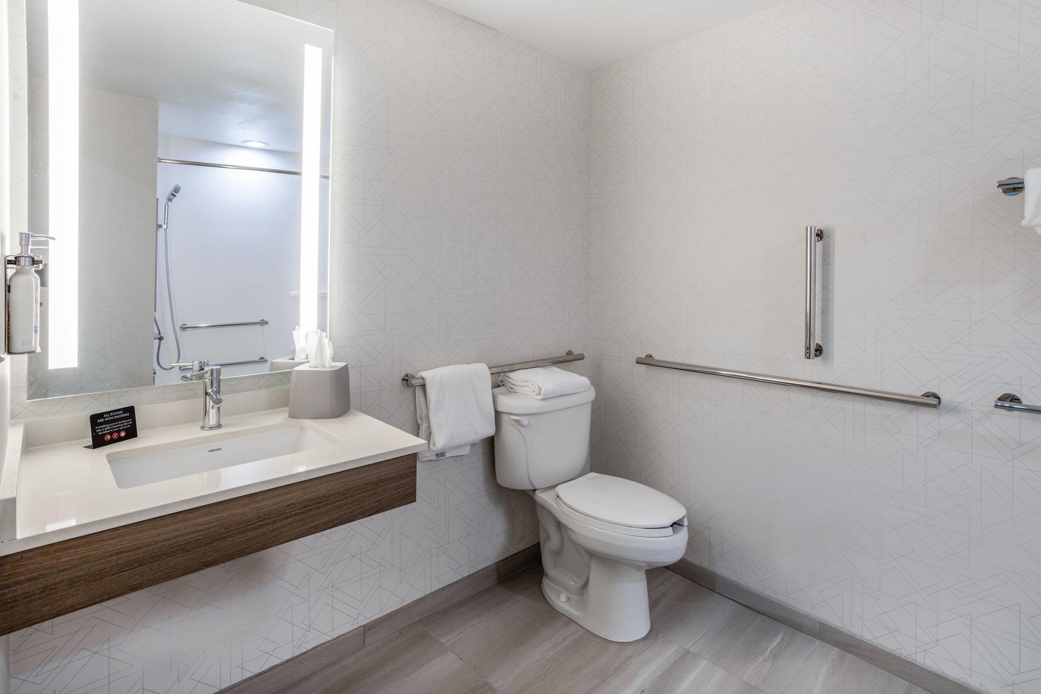 Фото Holiday Inn Express & Suites Tampa I 75 Bruce B. Downs