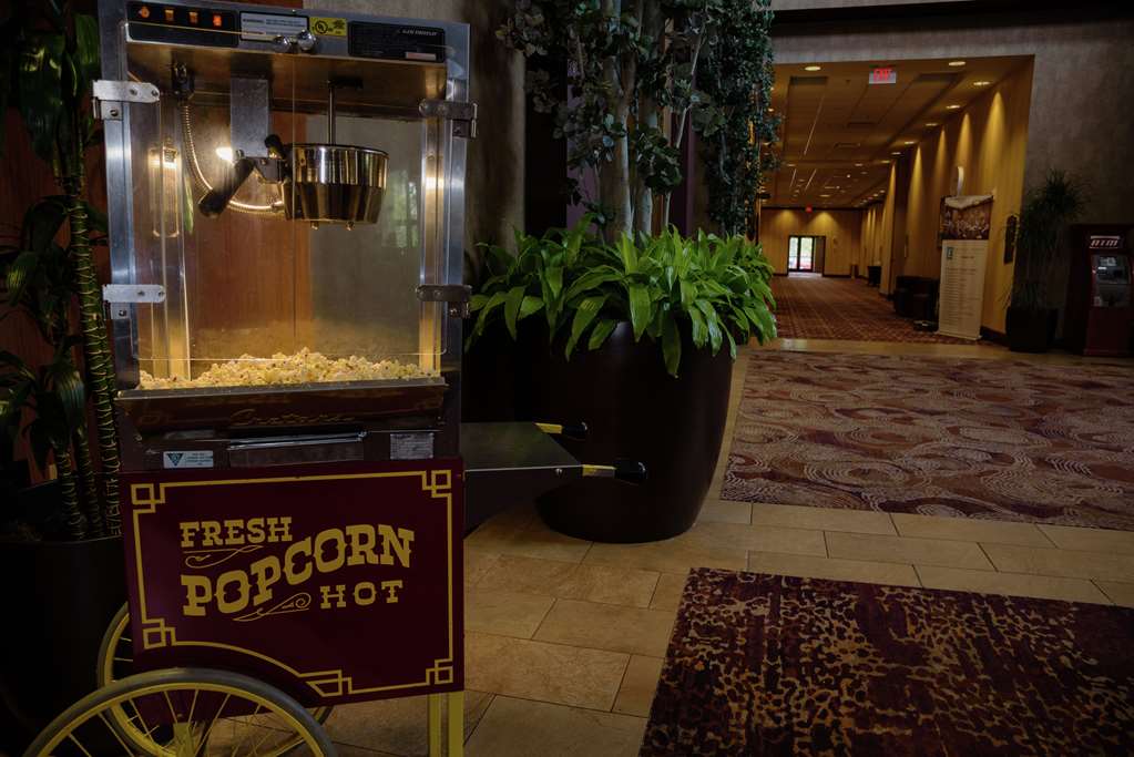 Фото Embassy Suites by Hilton Minneapolis North
