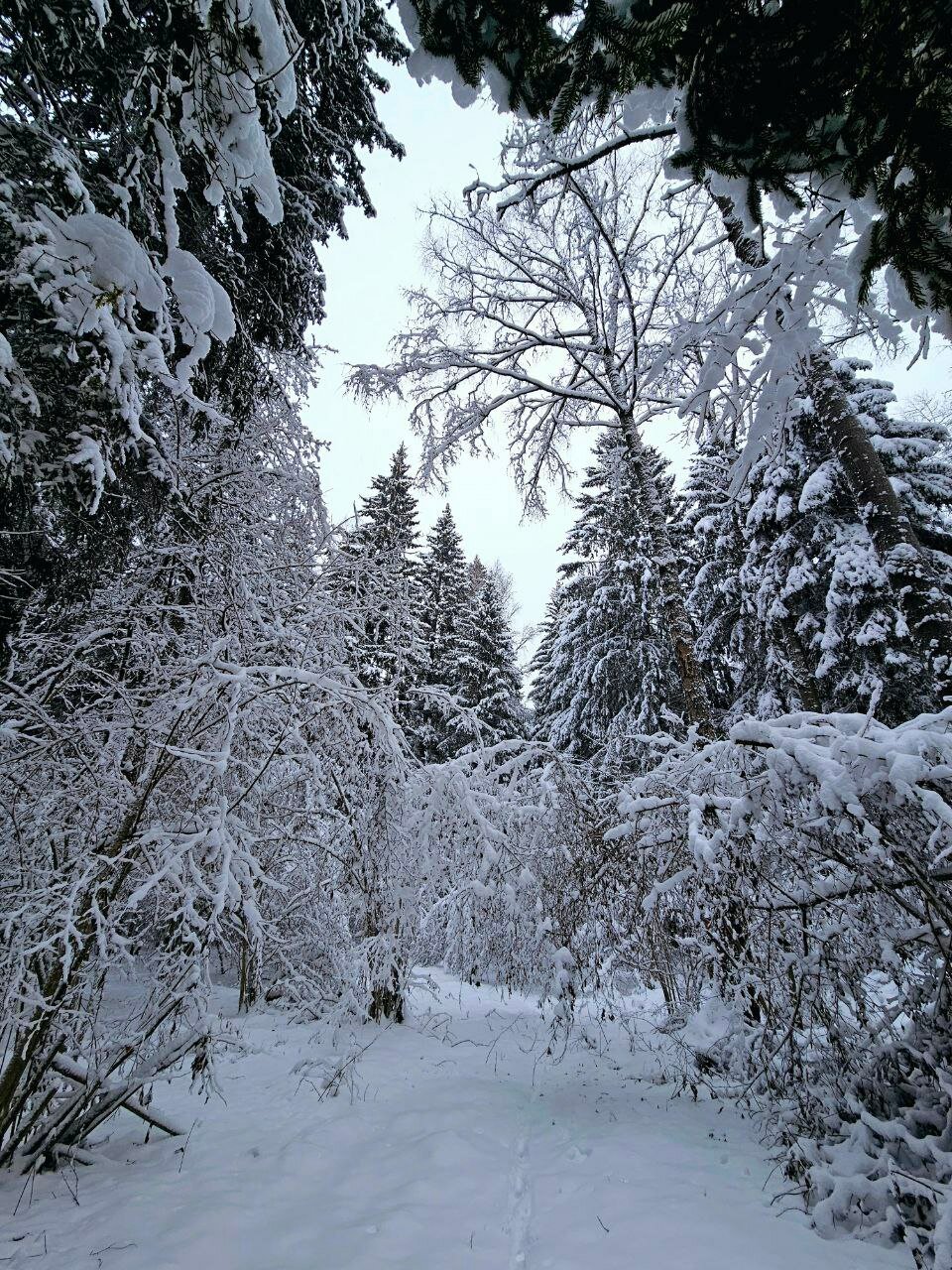 Фото В гостях у Знахаря