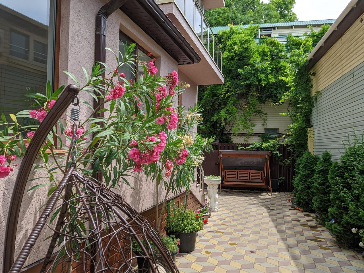 Фото Алегрия