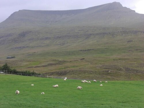 Гостиница Kidafell в Акранесе