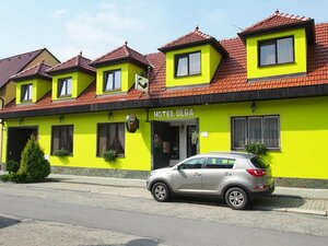 Гостиница Hotel Olga