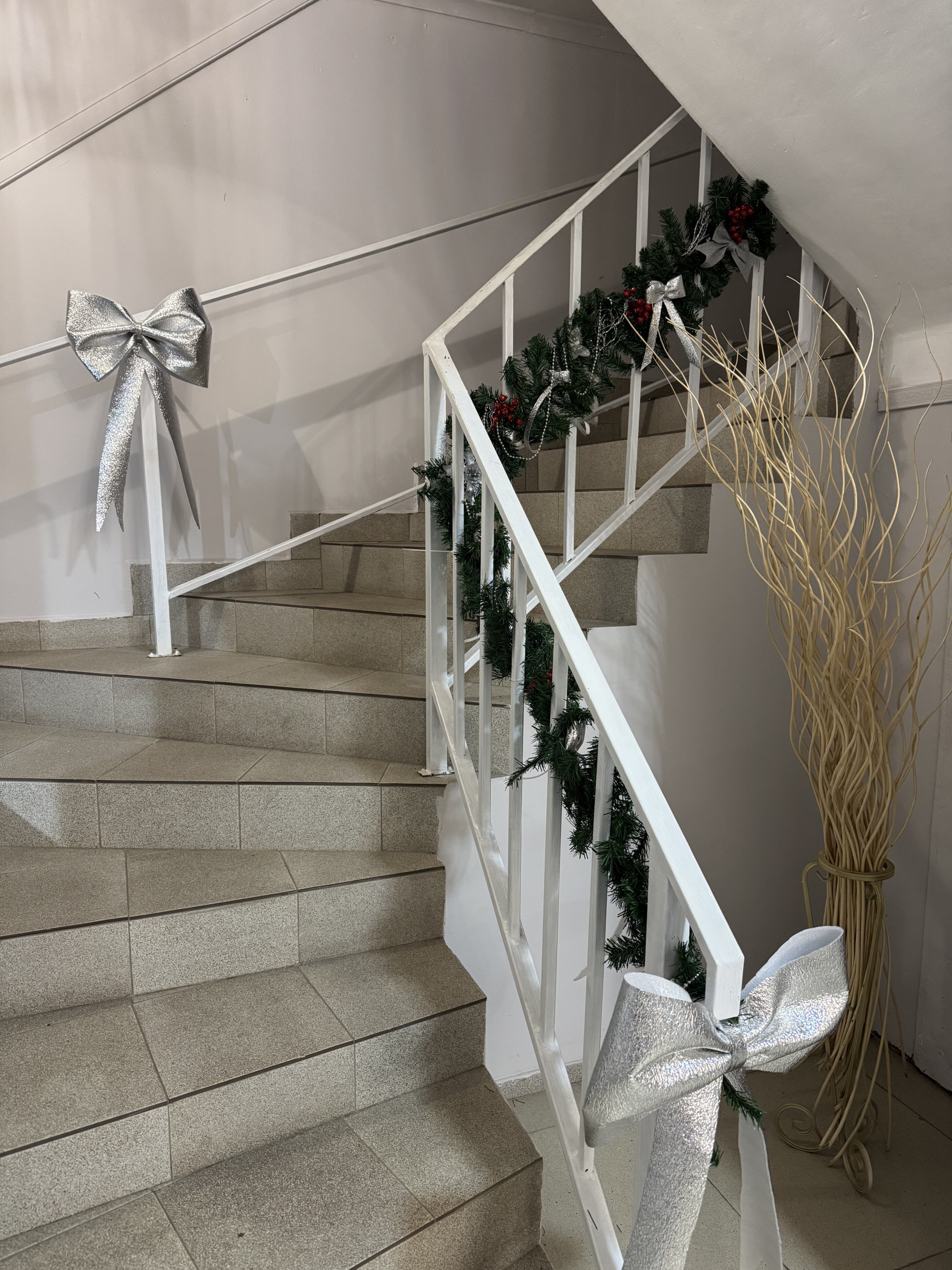 Фото Вишневый сад