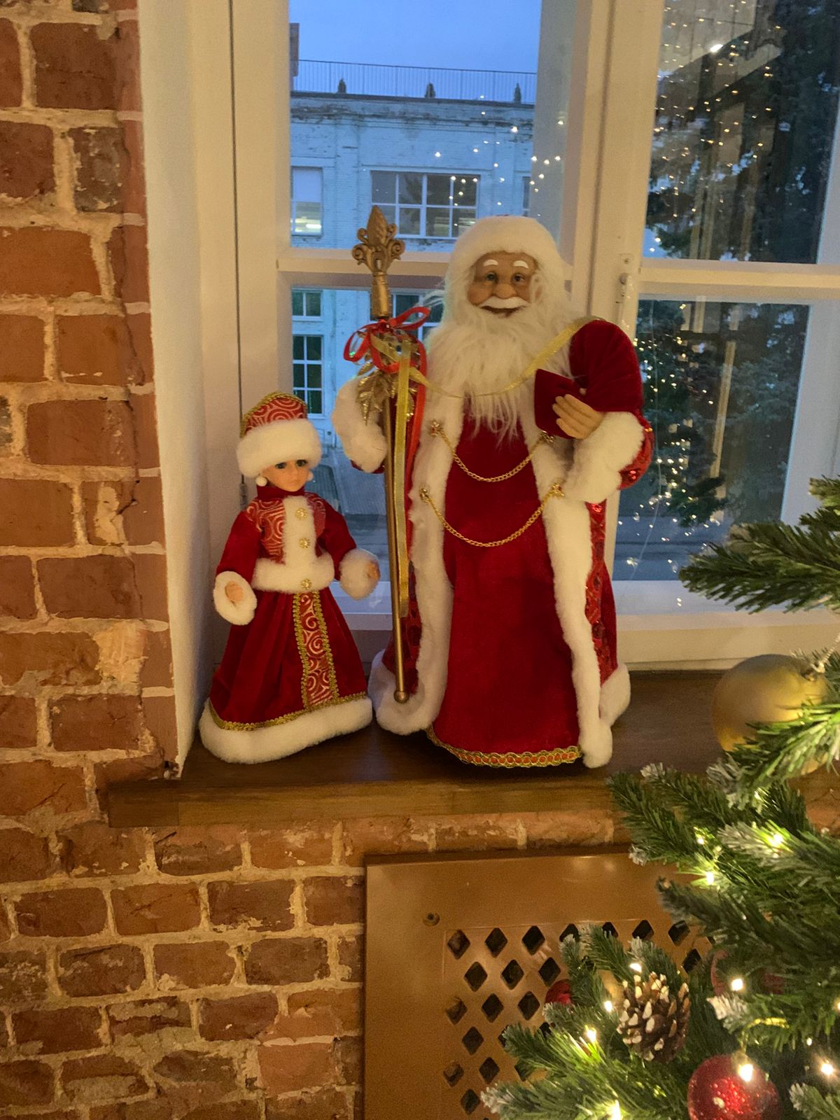 Фото Два гуся