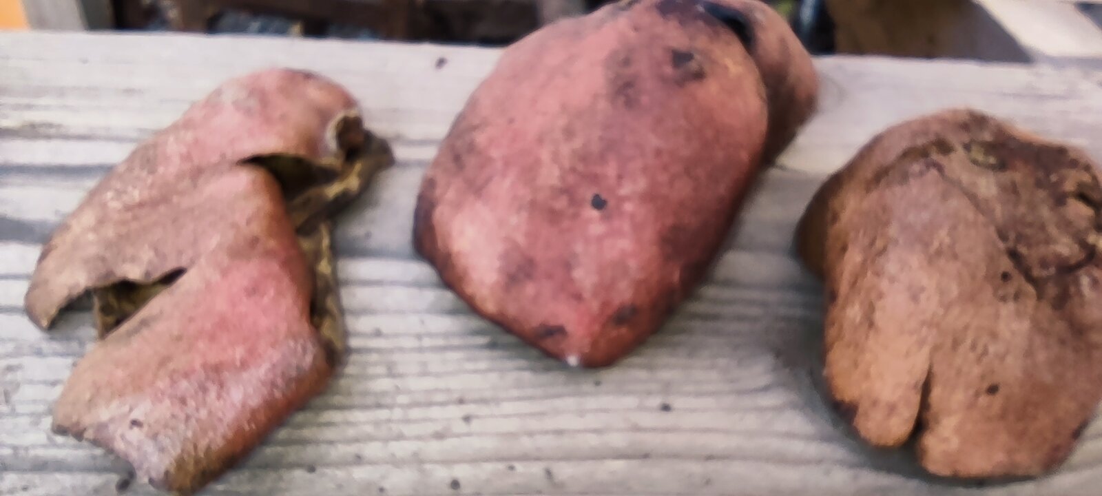 Фото Woolway Studios