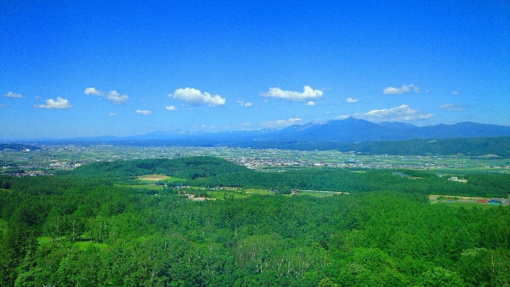 Фото Shin Furano Prince Hotel