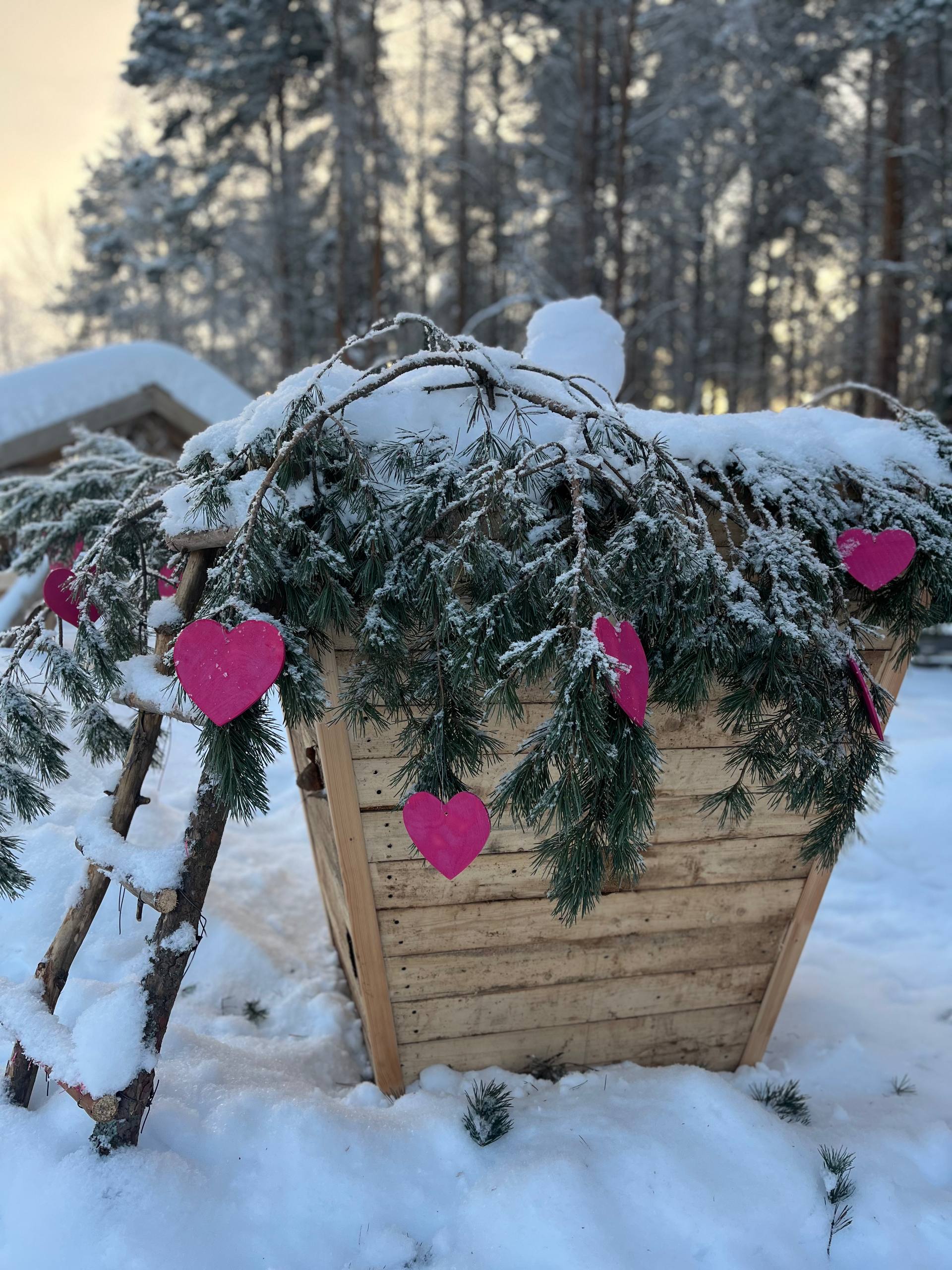 Фото Лунная Долина