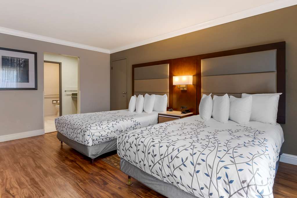 Фото Best Western Plus Forest Park Inn