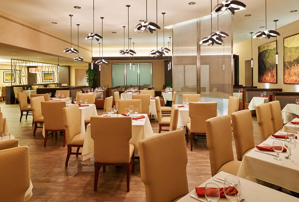 Фото DoubleTree by Hilton San Antonio Airport