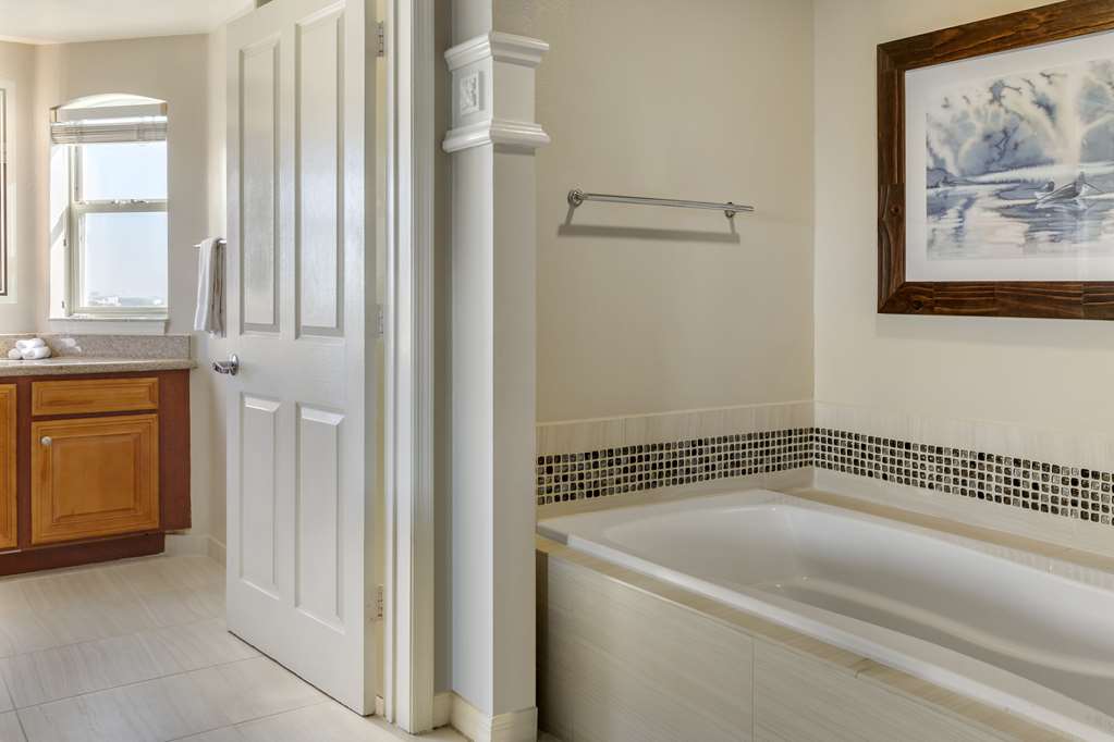 Фото Hilton Grand Vacations Club SeaWorld Orlando