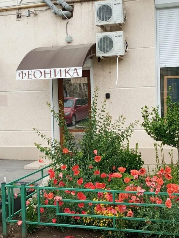 Феоника — фото 23