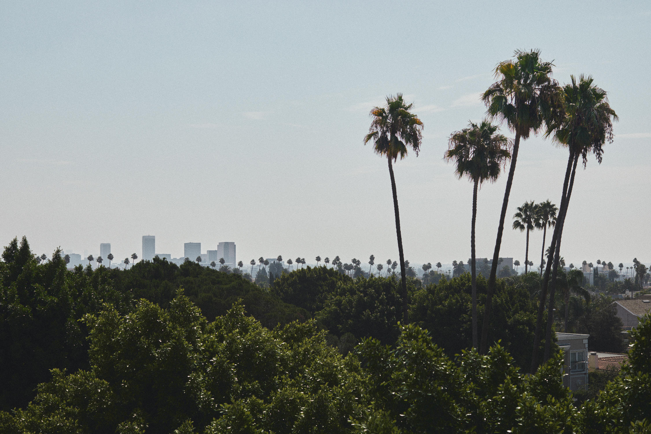 Фото L'Ermitage Beverly Hills