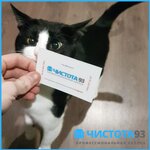Cleaning Chisto 93 (Novorossiyskoye Highway, 17/1), cleaning services