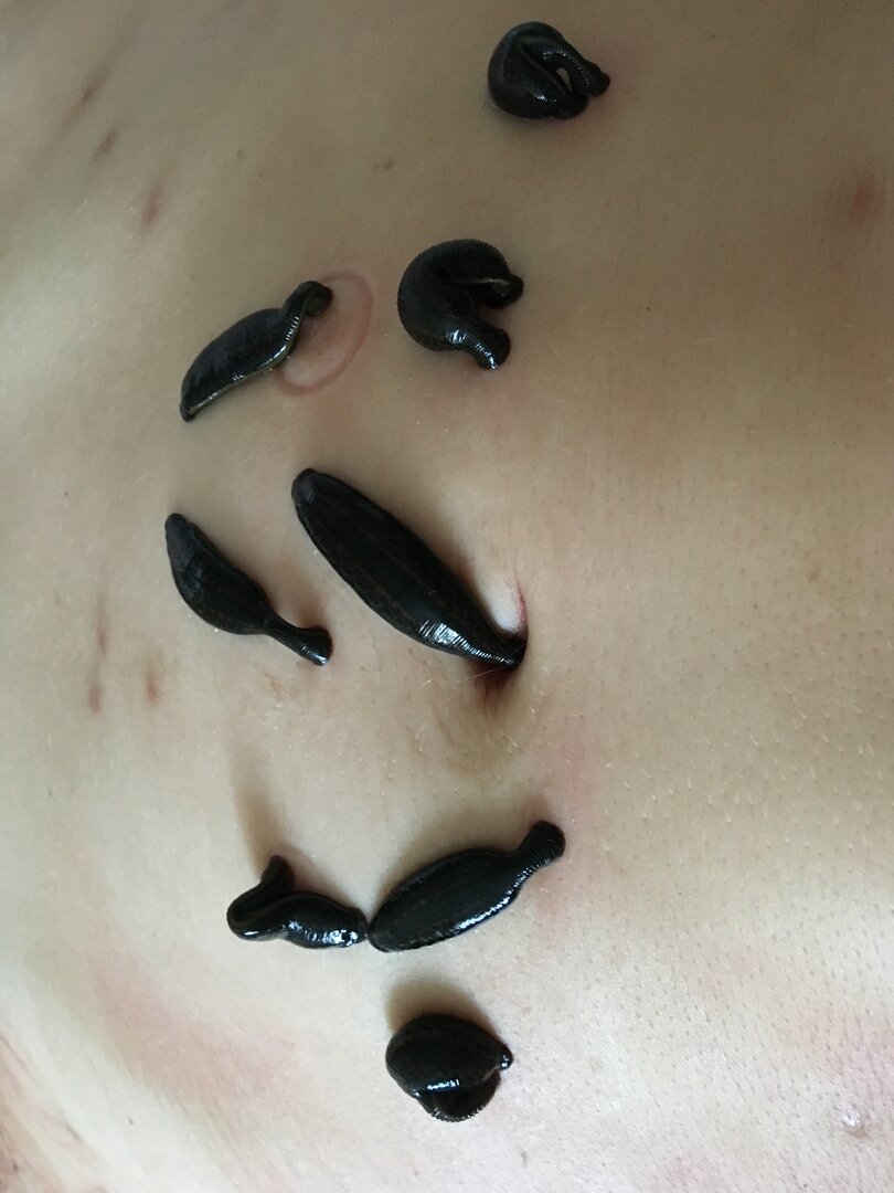 Медицинские услуги