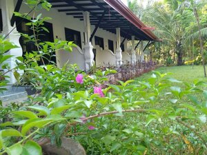 Amron Resort Sigiriya