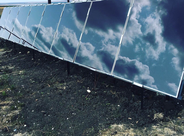 Фото Фридом