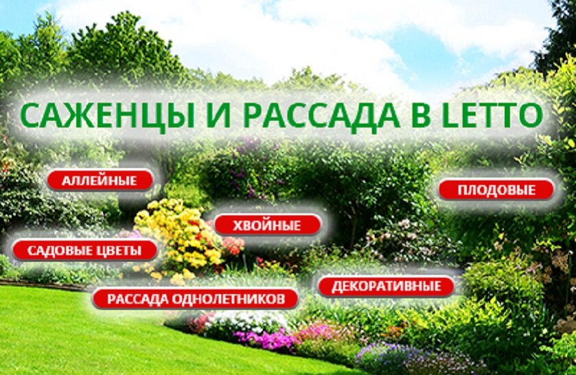 Интернет Магазин Садовый Дворик Раменское