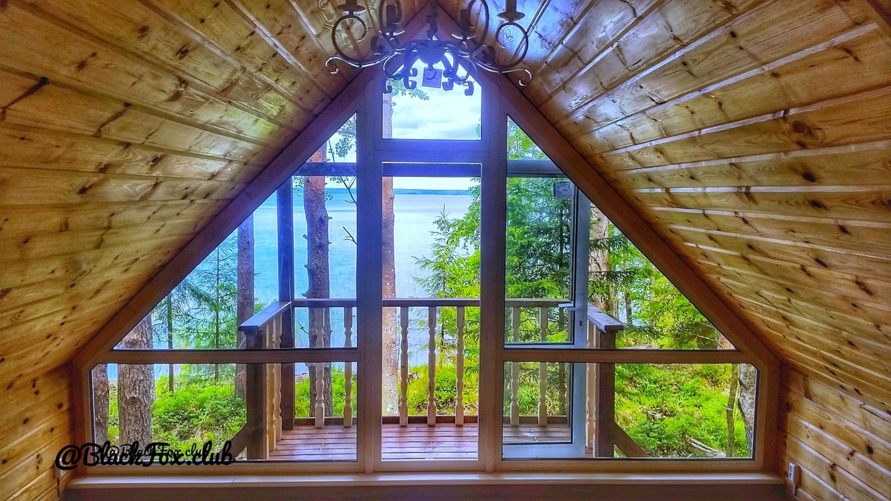 Фото Черная лиса