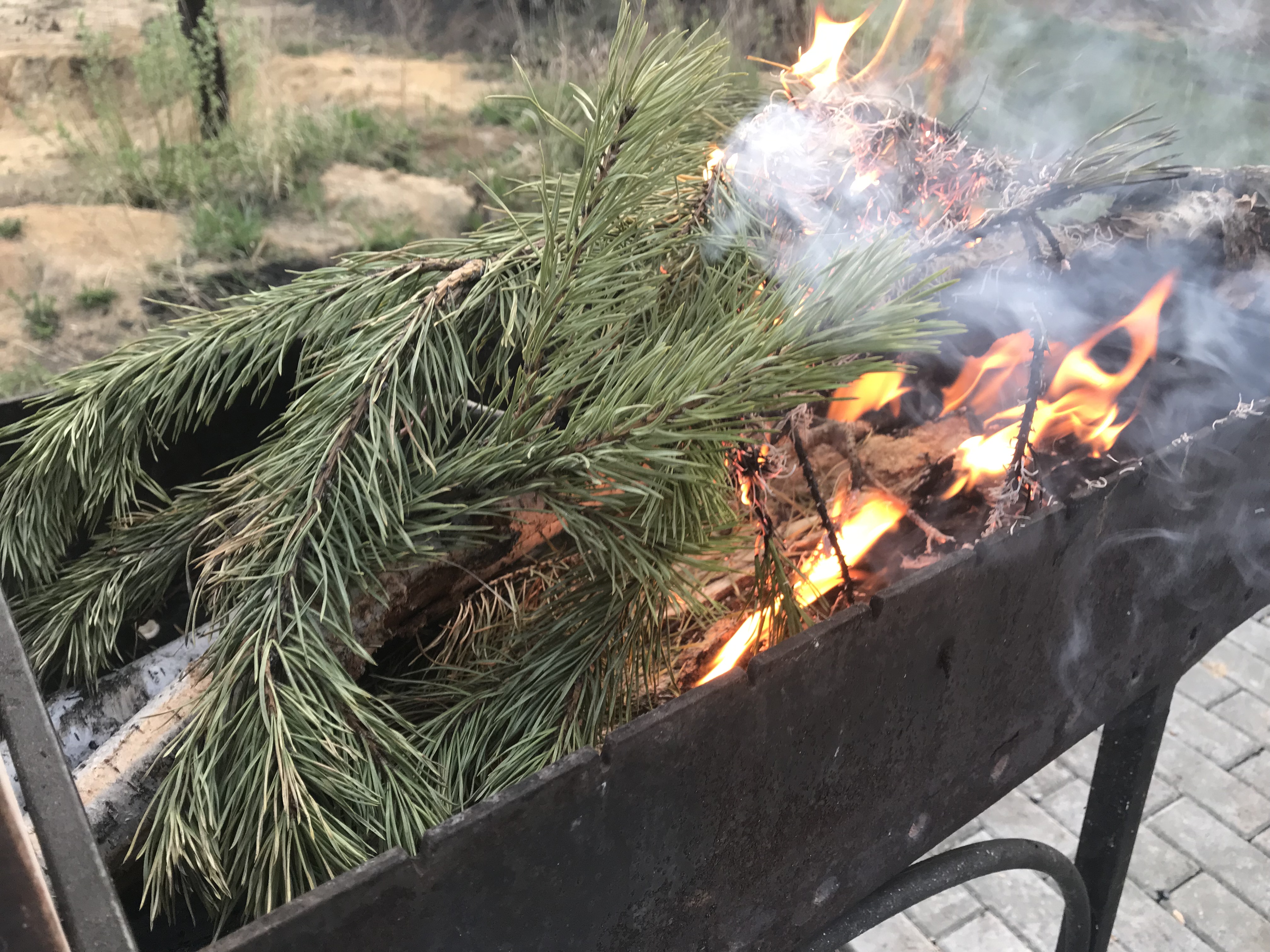 Фото Эко-парк Лазурный