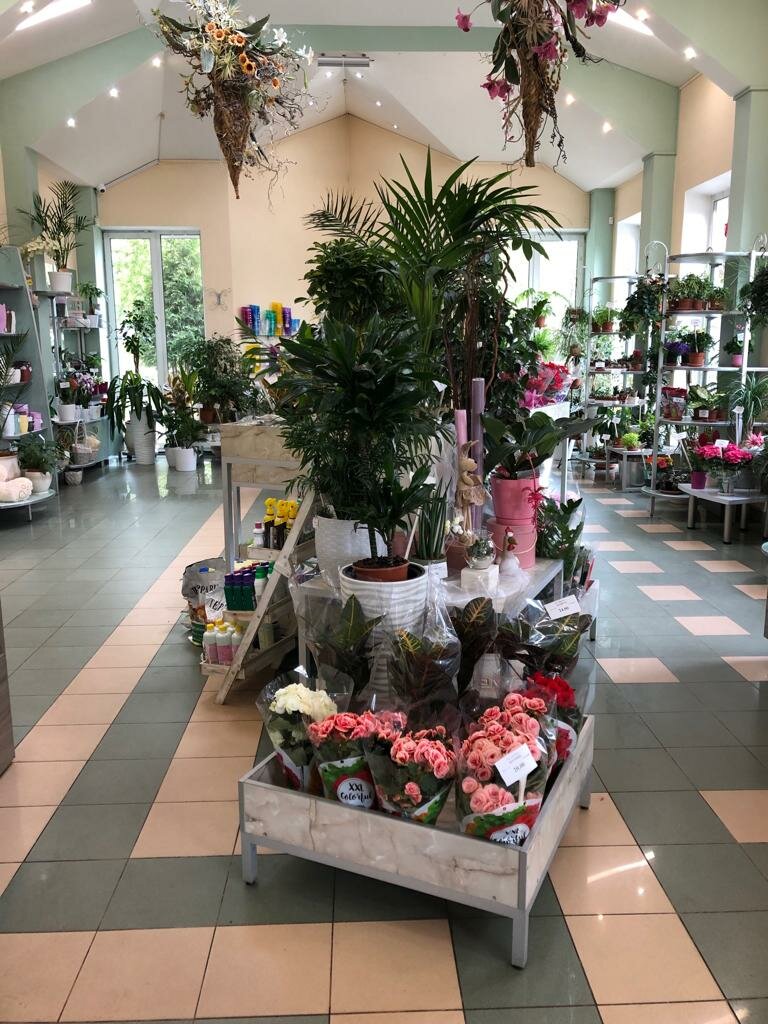 Эдем, магазин цветов, ул. Лопатина, 34В, Борисов - Яндекс Карты