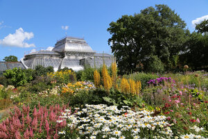 Музей Ботанический сад Петра Великого, Санкт‑Петербург, фото