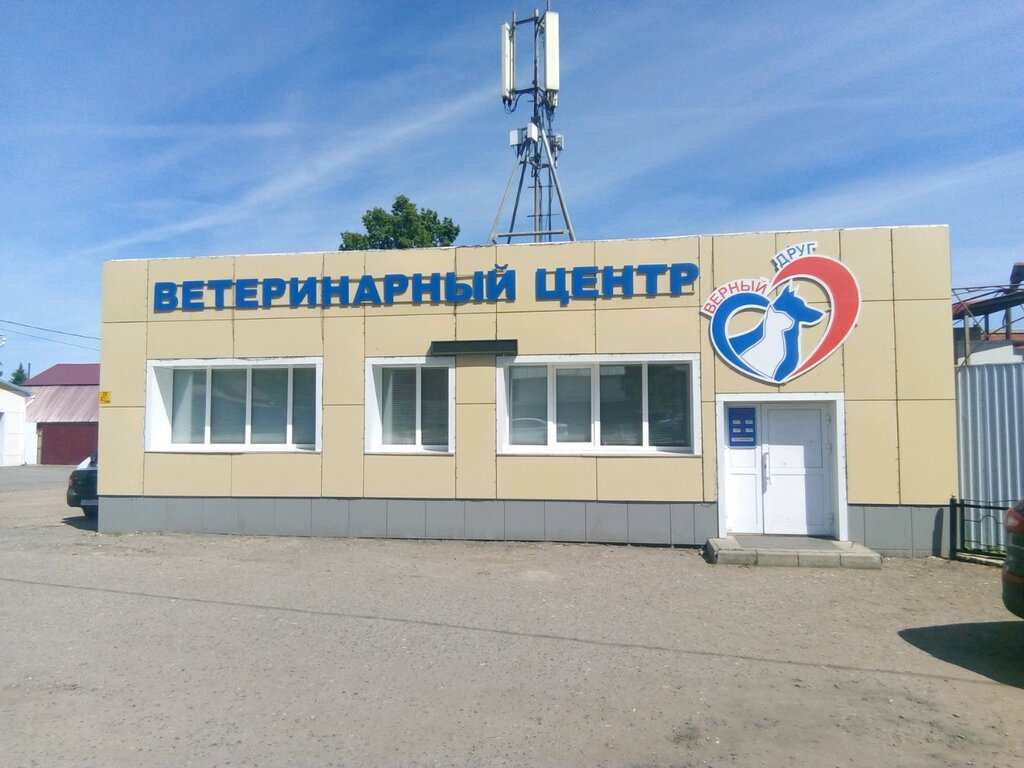 Автоклиника саранск рено