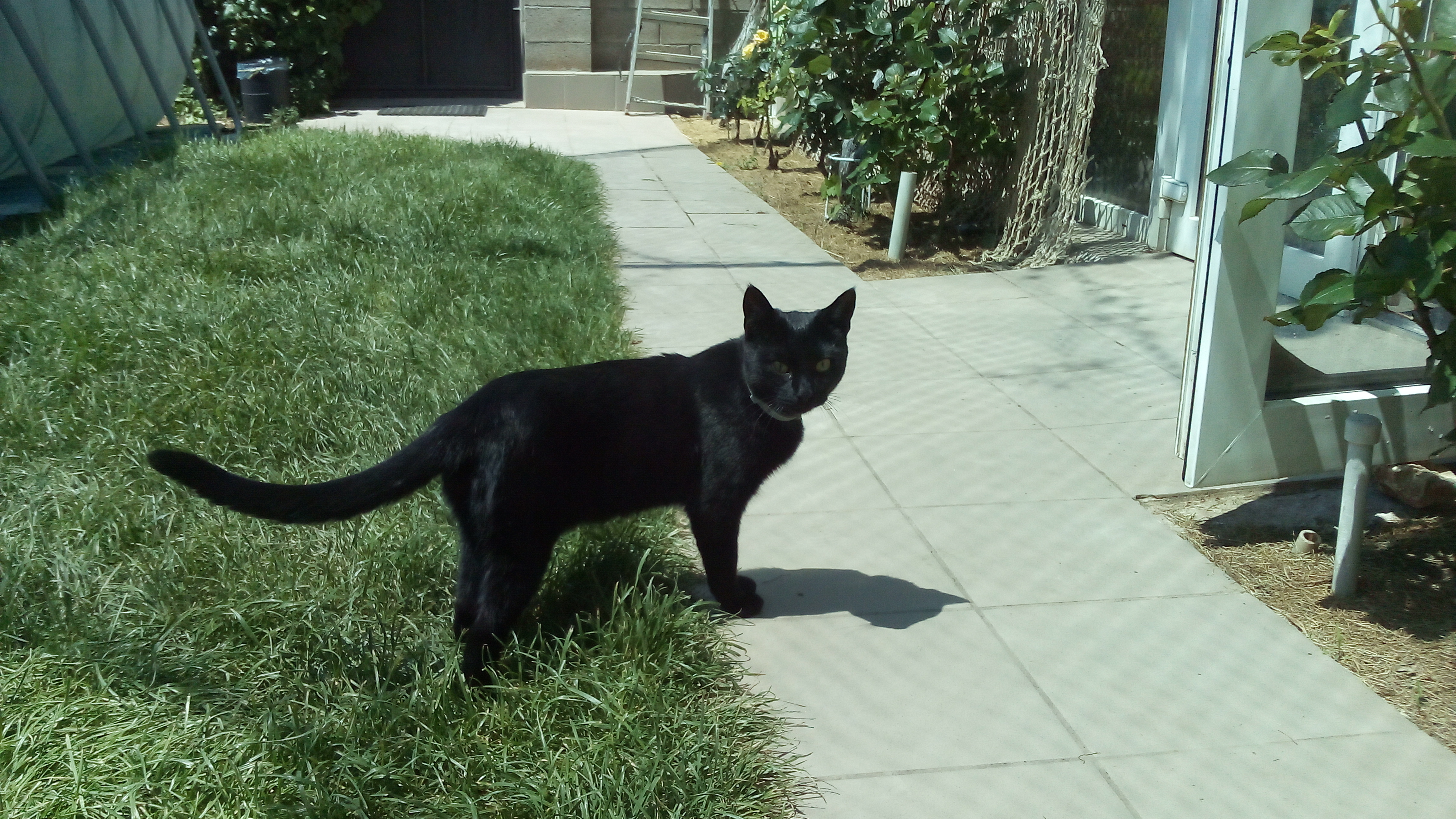 Фото Добрый шкипер