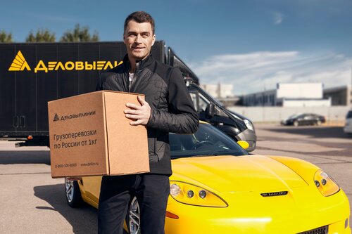 Деловые Линии, автомобильные грузоперевозки, ул. 8 Марта, вл2 ...