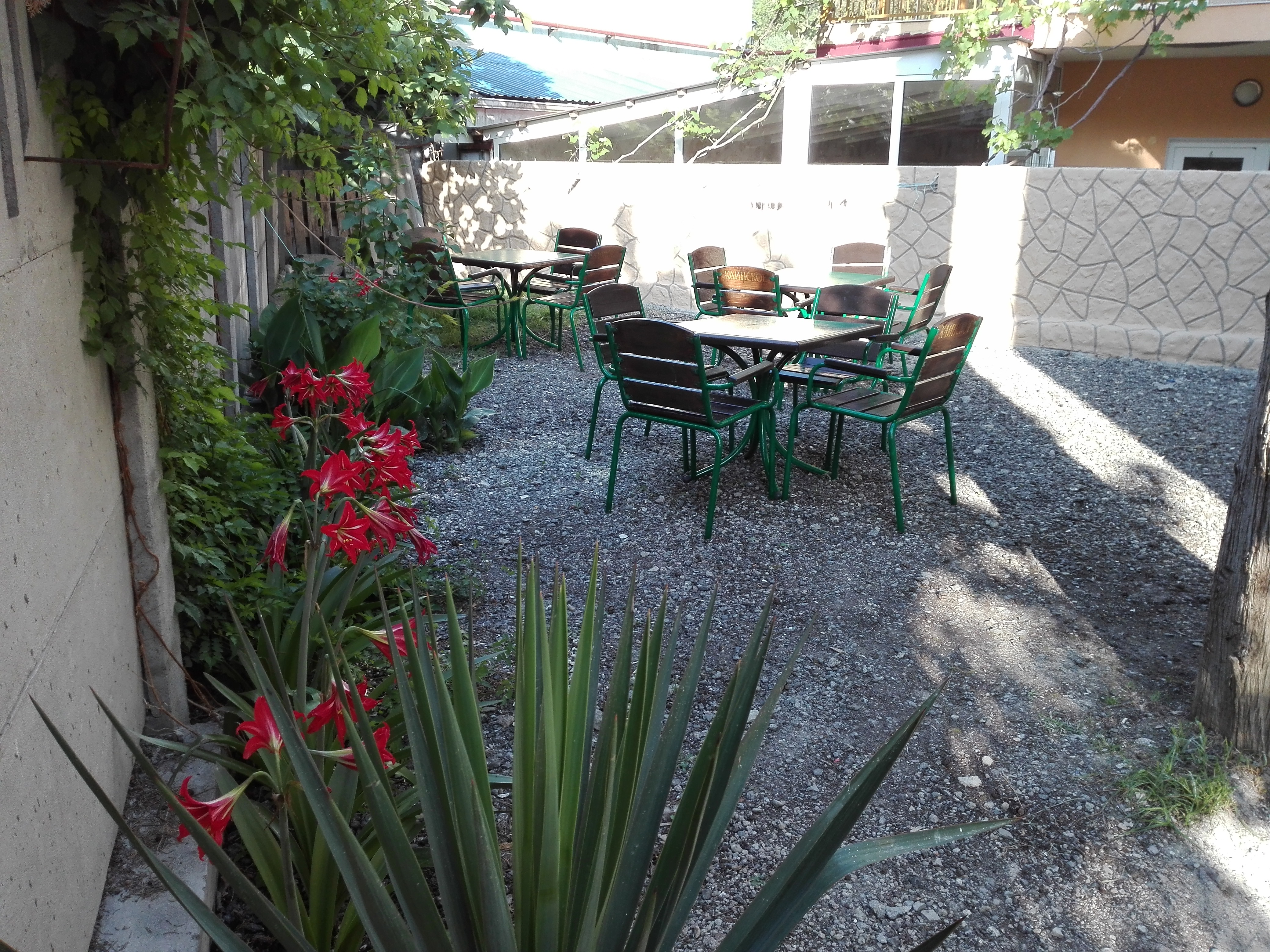 Фото Анжелика