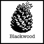 Blackwood tattoo club (Miklukho-Maklaya Street, 18к2), tattoo studio