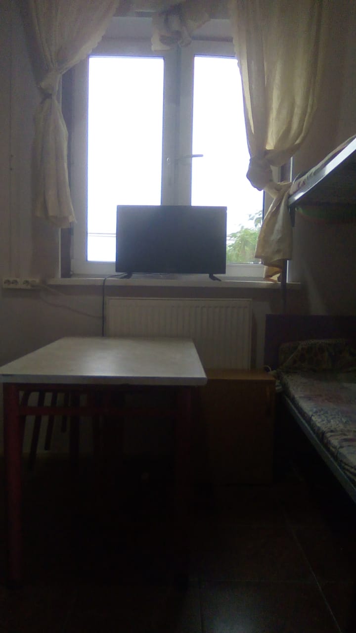 Фото Вежливый Лось