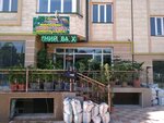 Sadovyy Tsentr (So‘g‘diyona-A mikrotumani, 58А), garden center