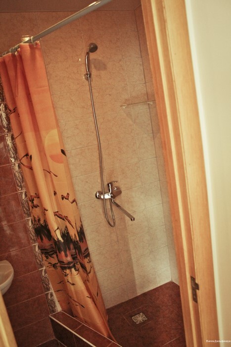 Фото Дельфиниум