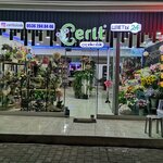 Turkey Flowers Delivery Services (Yozgat, Boğazlıyan, Yazıçepni Köyü), flower shop